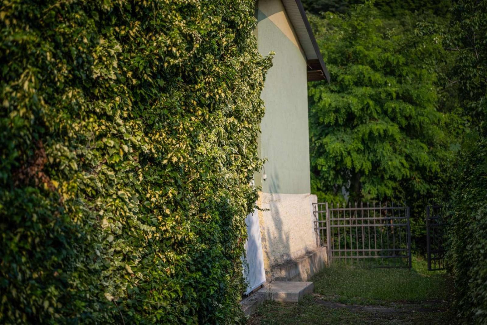 Vacation Home Rot Ohrid Luaran gambar